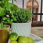Apartmaji Mavita Piran